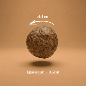 Croquettes sans céréales dinde chien adulte taille moyenne
