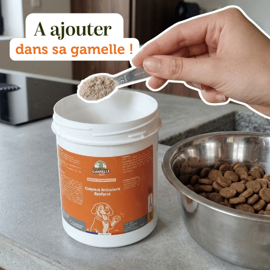 Complément alimentaire chien adulte et sénior articulation renforcée